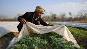 Delhi Ncr coldest winter 2025